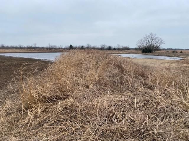 CR 5000 Road — photo 3