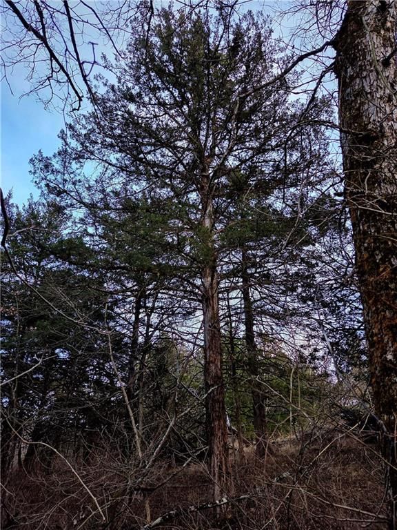 00000 W 363rd Street — photo 29