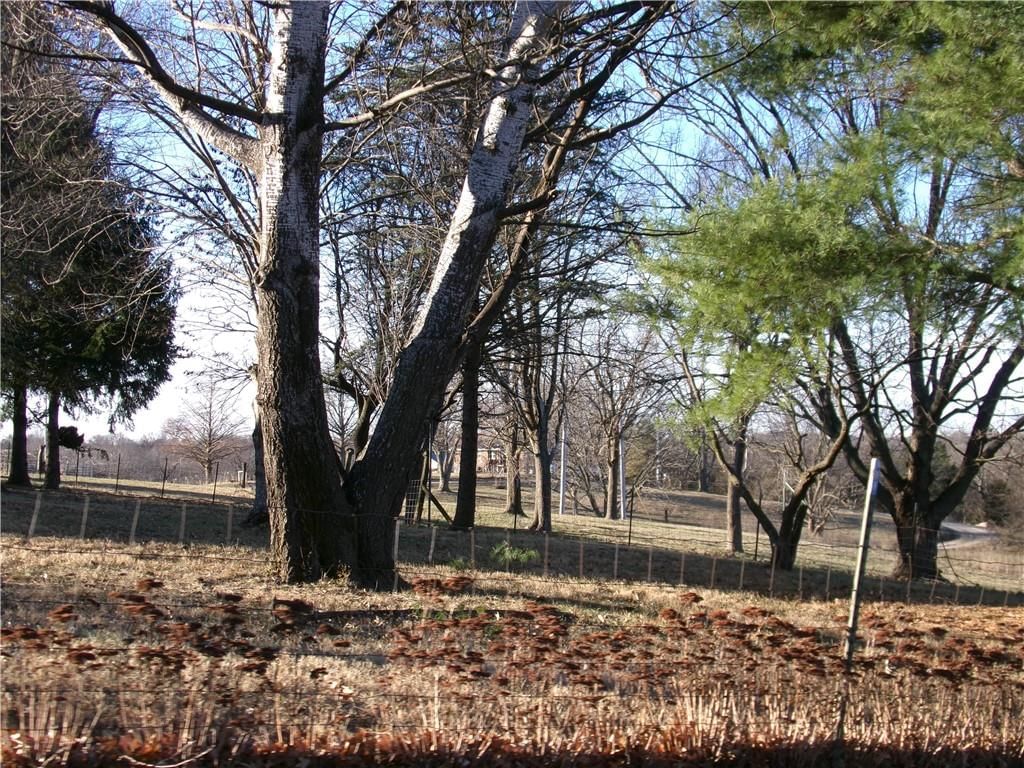 31766 Horn Circle — photo 5