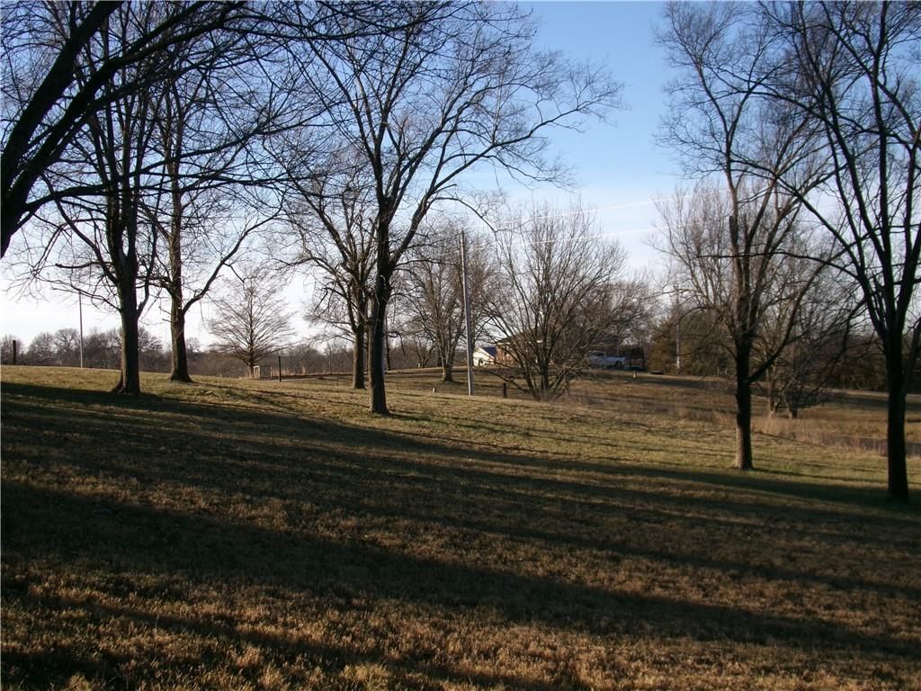31766 Horn Circle — photo 6