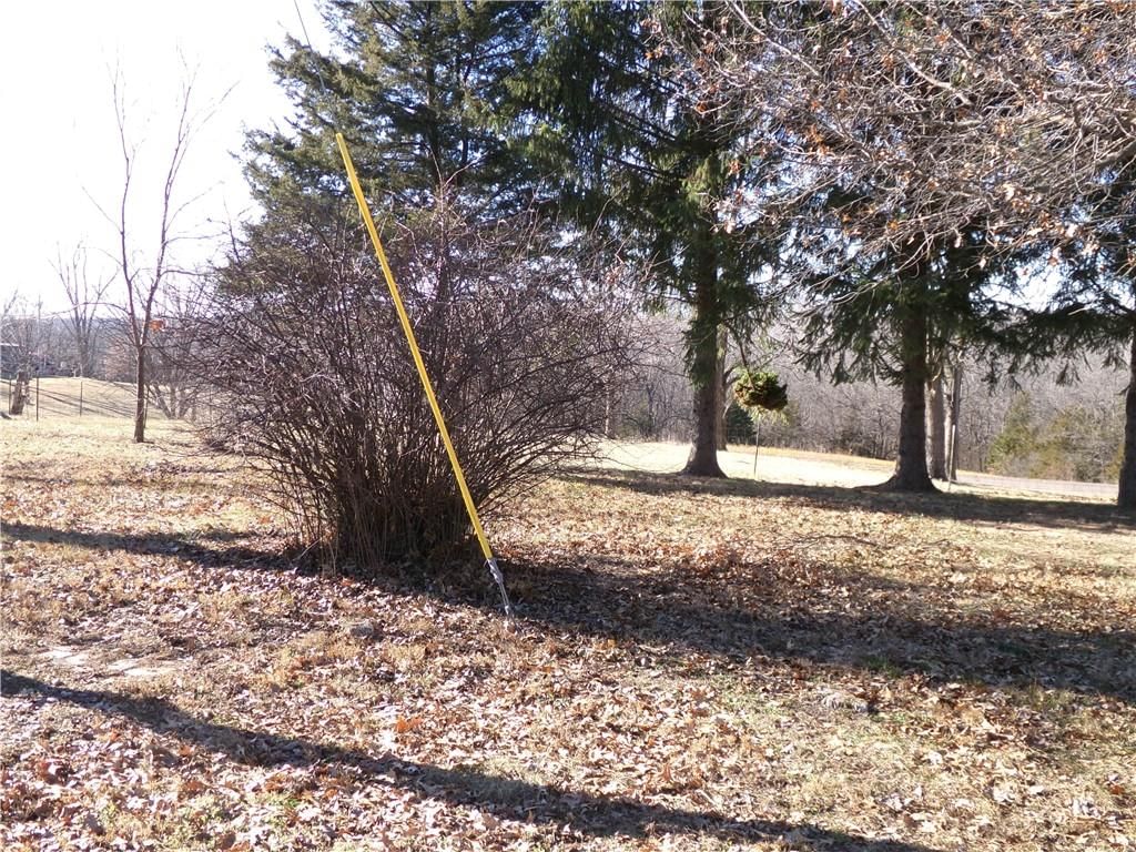 31766 Horn Circle — photo 10