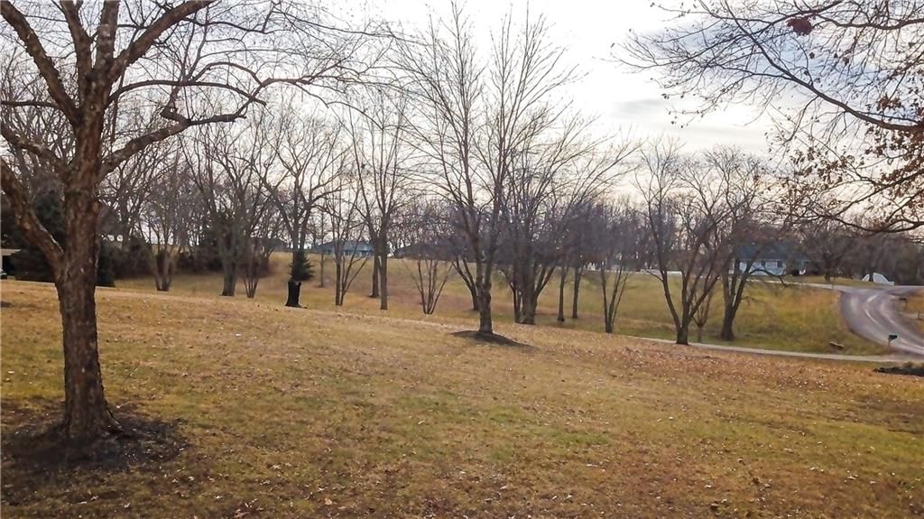 16816 Landmark Loop N/A — photo 69