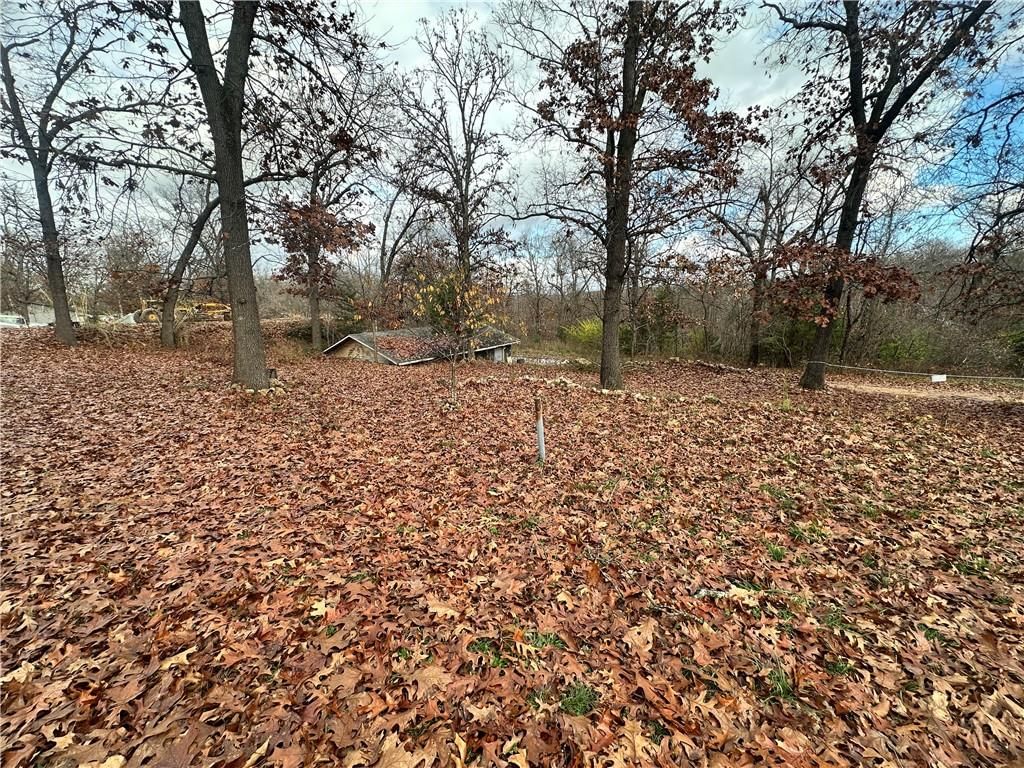 30008 Skyview — photo 18