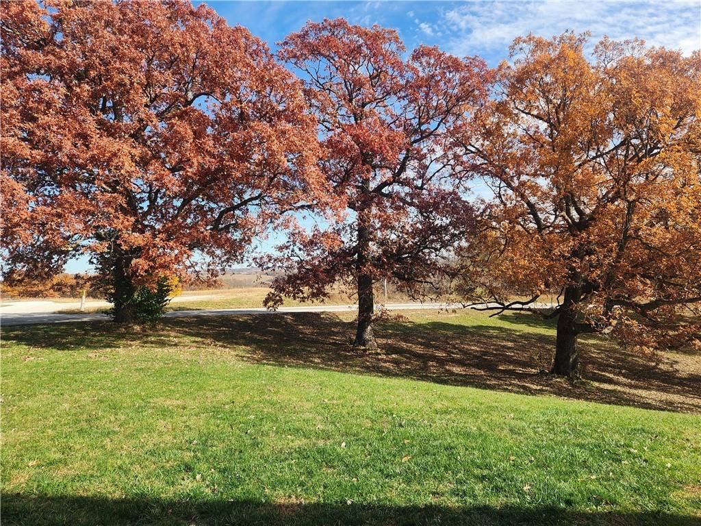 15500 SE 70th Road — photo 60