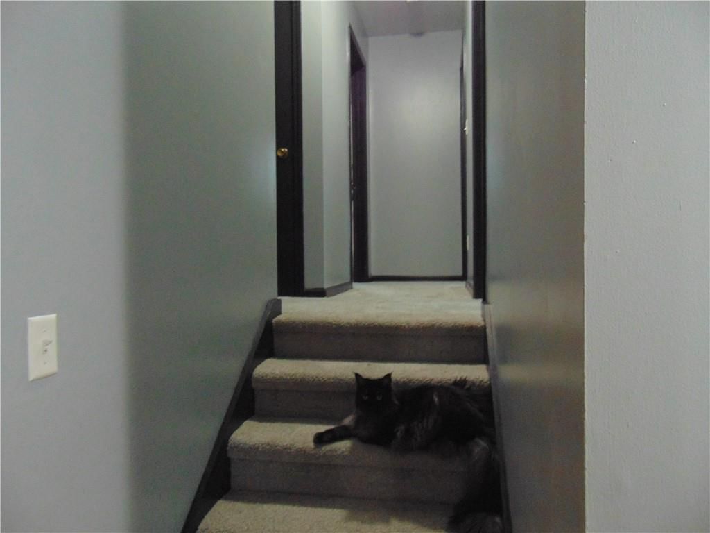 2103 Ridgewood Road — photo 6