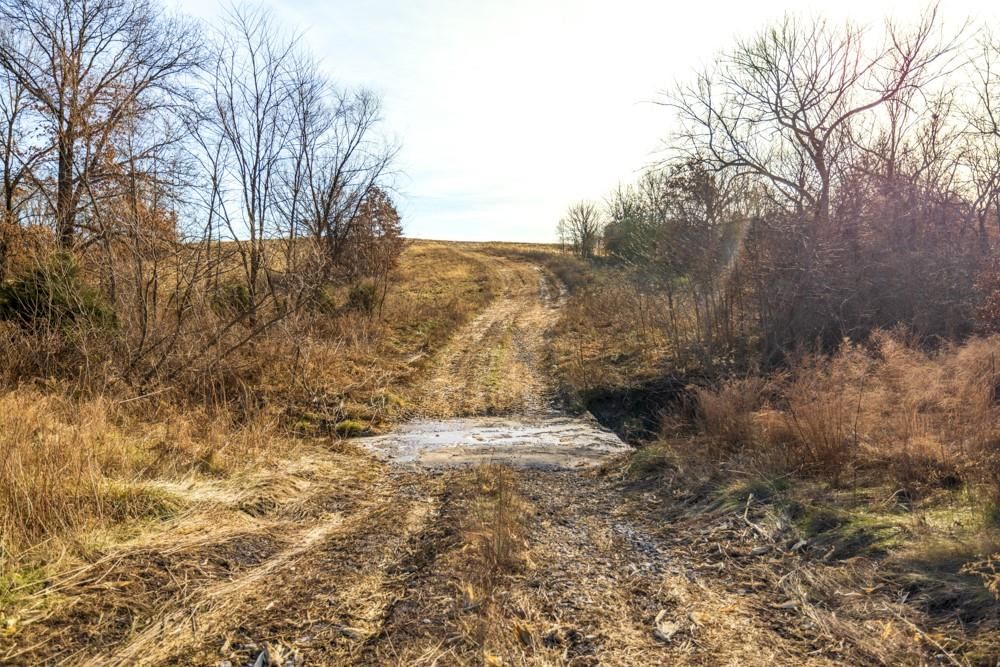 Jansen Road — photo 41