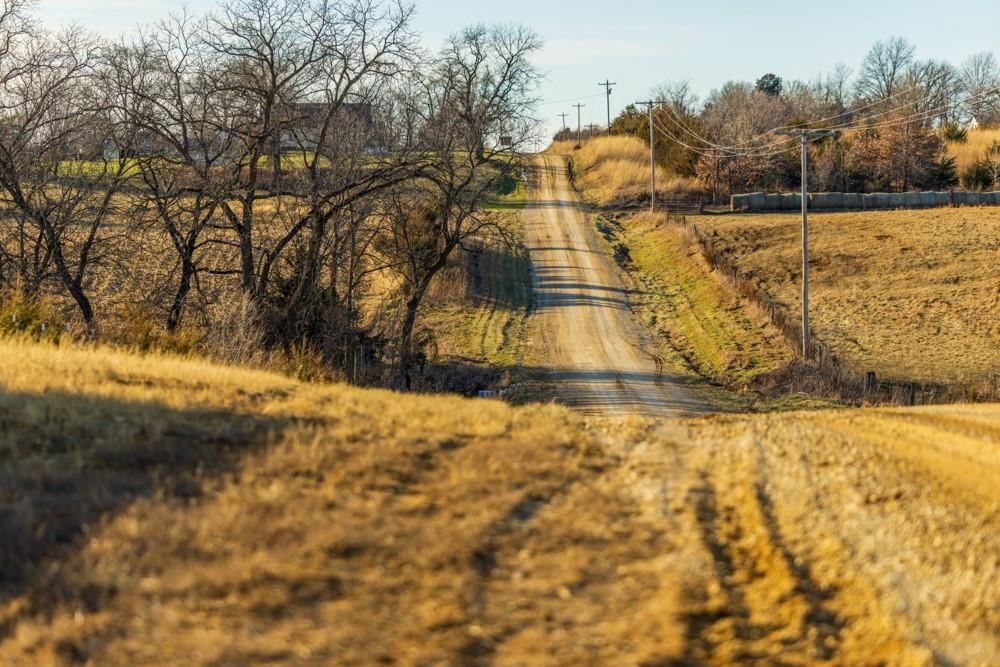 Jansen Road — photo 86