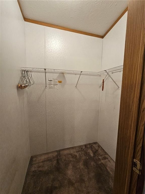 6601 Ridgeway Street — photo 12