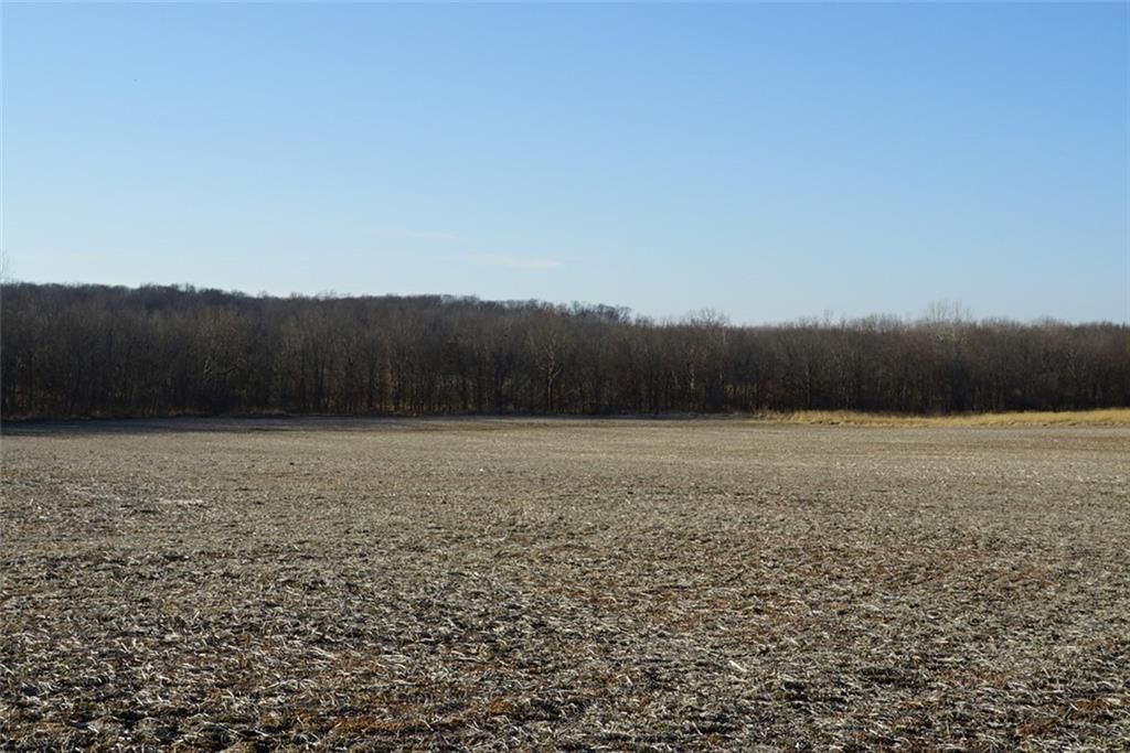 County Road 216 Road — photo 3