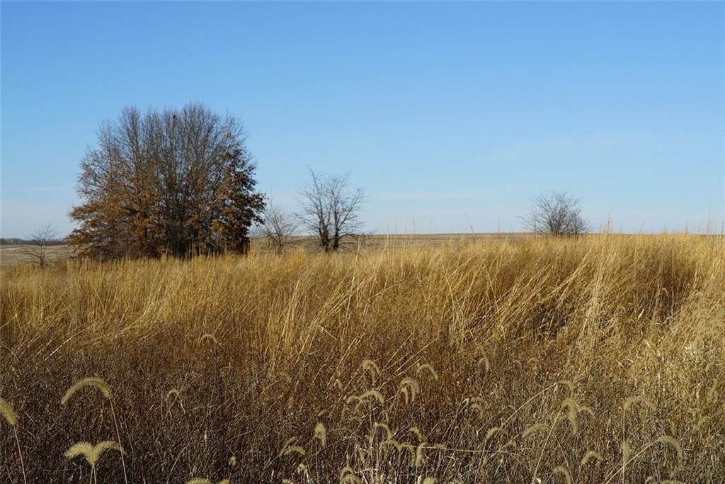 County Road 216 Road — photo 12