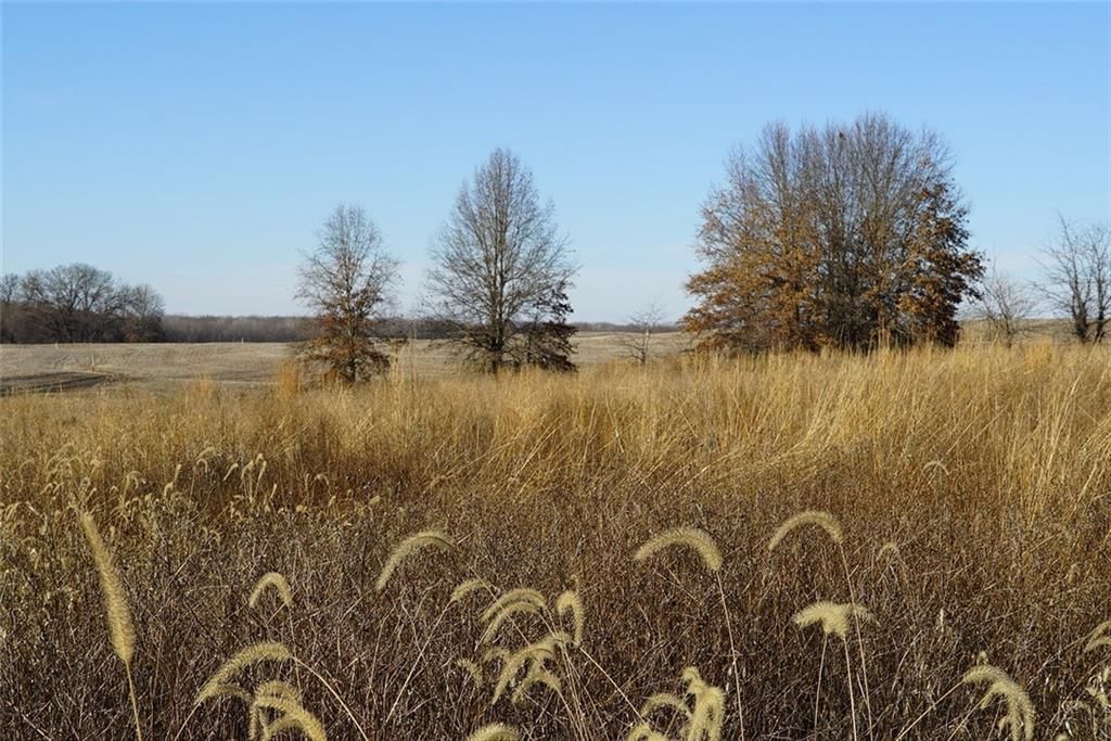County Road 216 Road — photo 13
