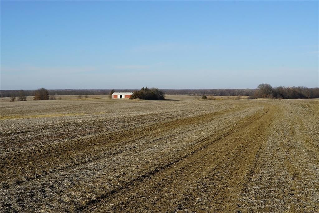 County Road 216 Road — photo 14