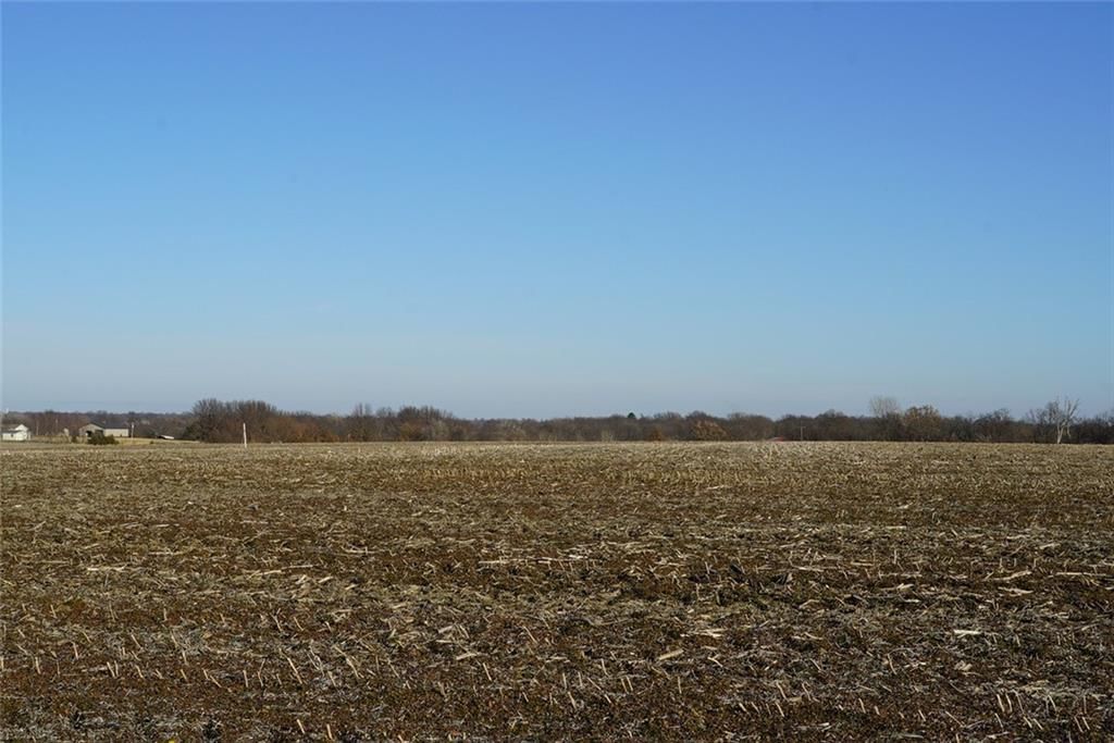 County Road 216 Road — photo 15