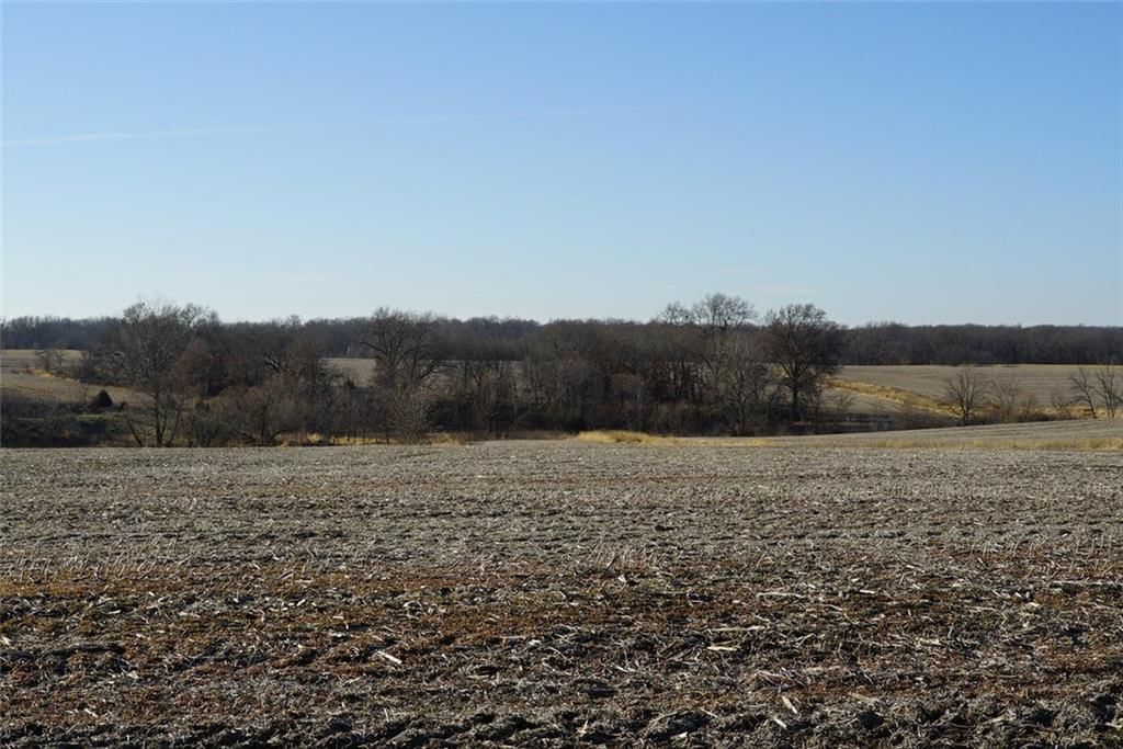 County Road 216 Road — photo 16