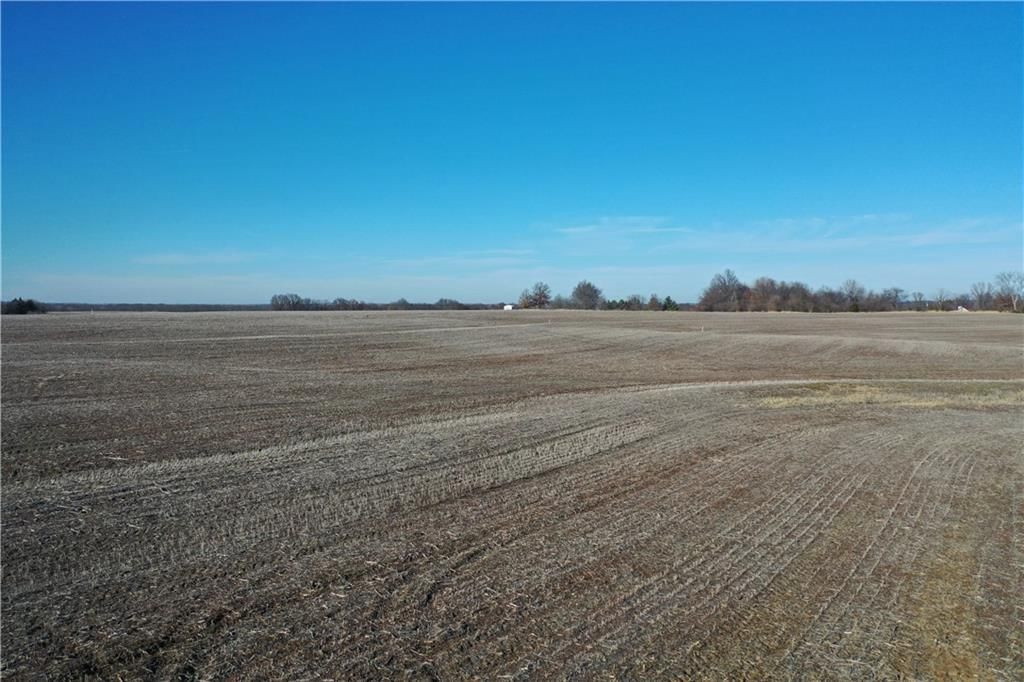 County Road 216 Road — photo 17