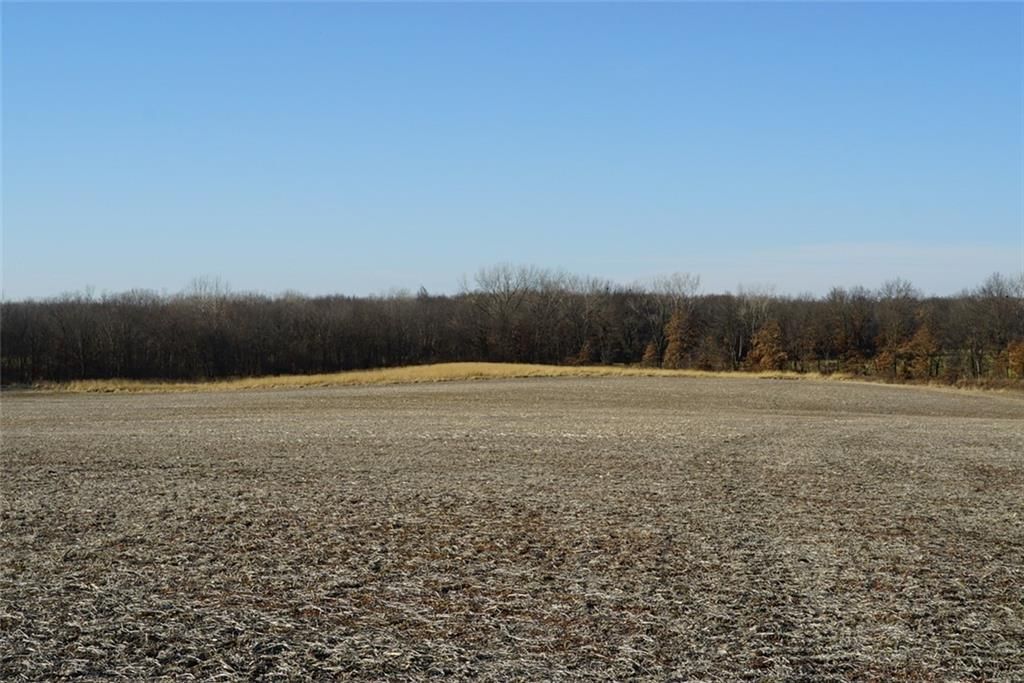 County Road 216 Road — photo 20