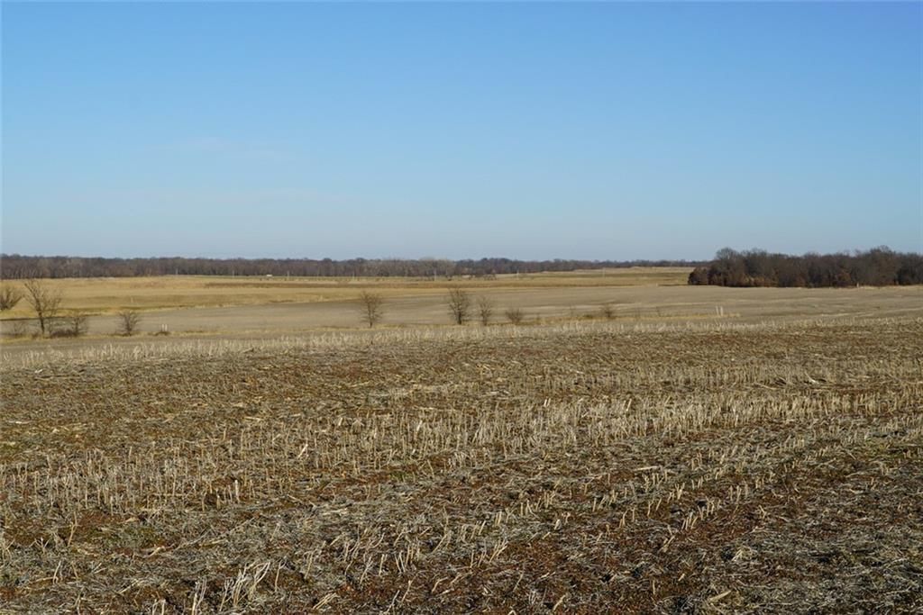 County Road 216 Road — photo 21