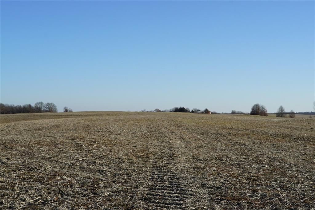 County Road 216 Road — photo 22