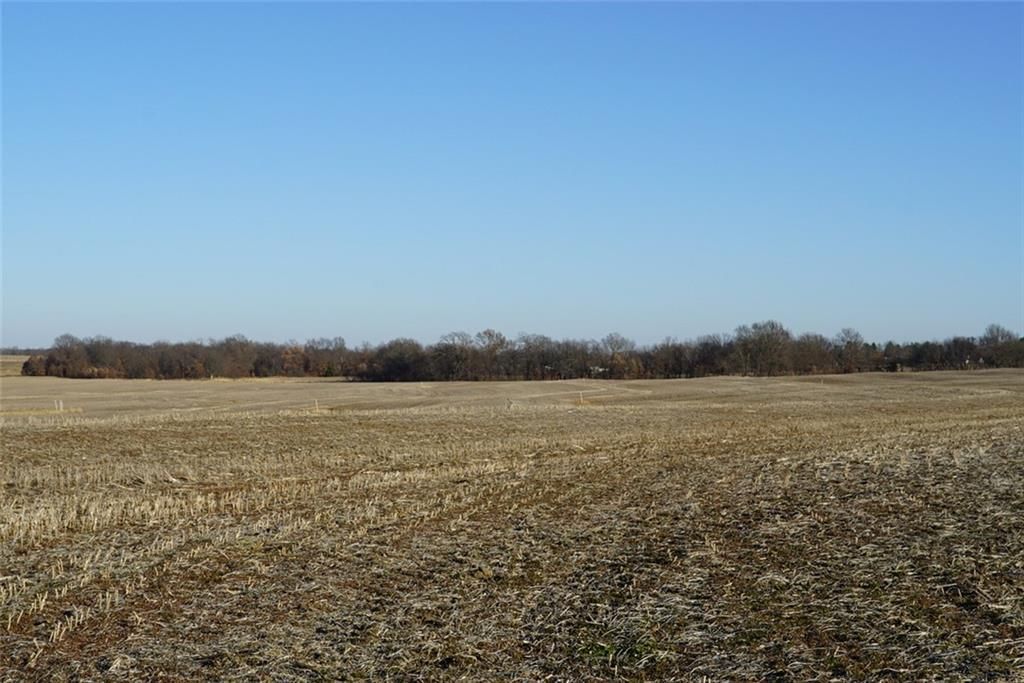 County Road 216 Road — photo 23