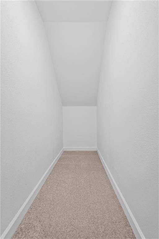 3025 Walrond Avenue — photo 31