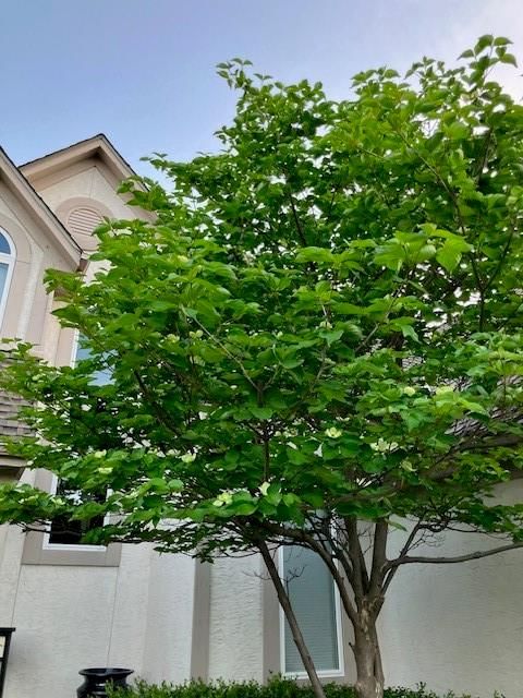 18235 W 156 Street — photo 58