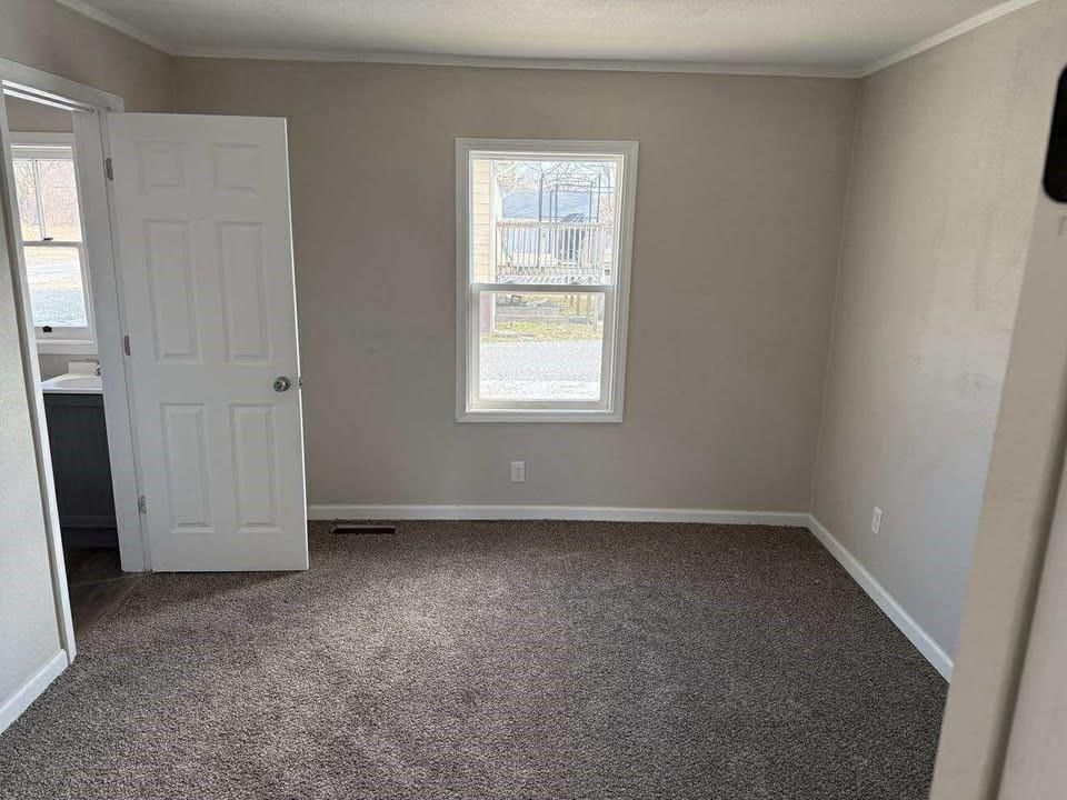 73 Empire Lane — photo 10