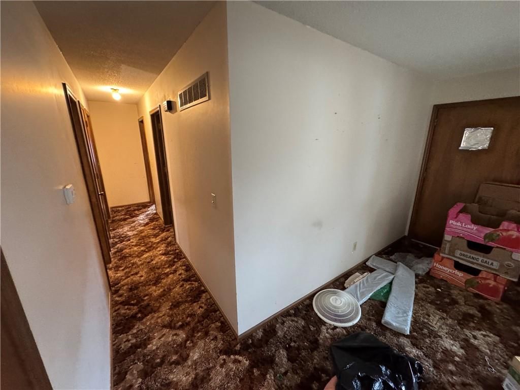 411 Holtz Street — photo 9