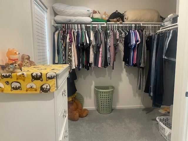 4802 Corinth Drive — photo 37