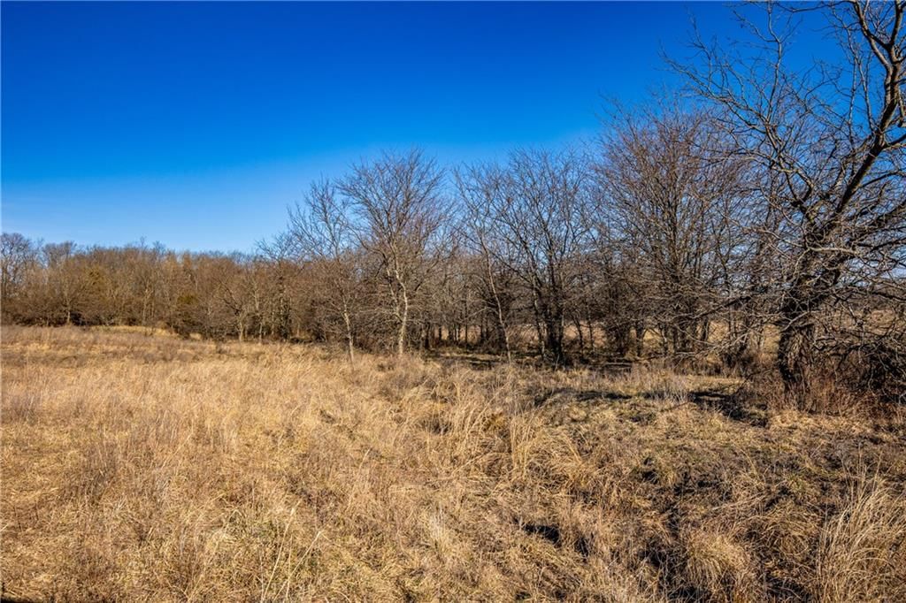 355 Georgia Road — photo 68
