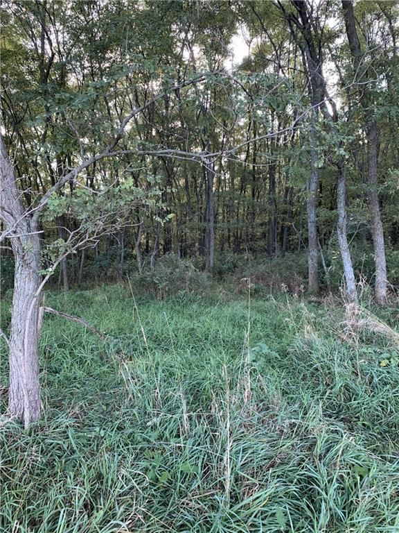 Tract 1 Private Drive 3394 Drive — photo 6