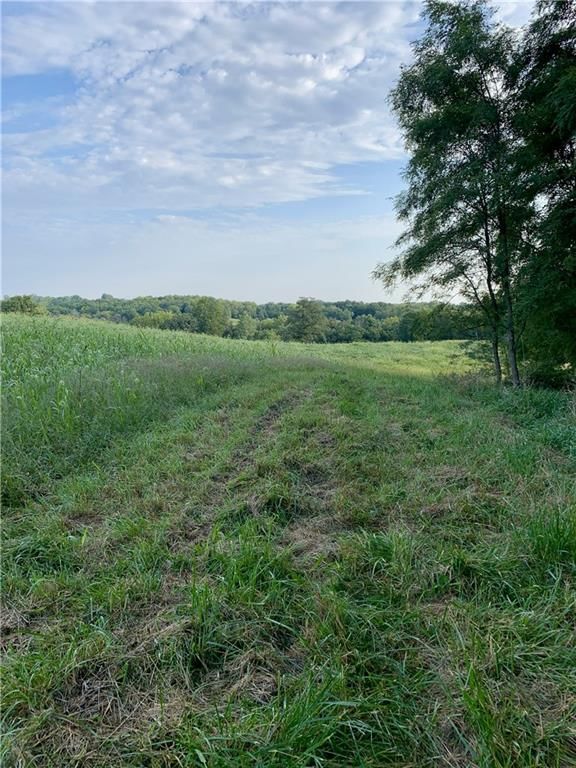 Tract 1 Private Drive 3394 Drive — photo 7