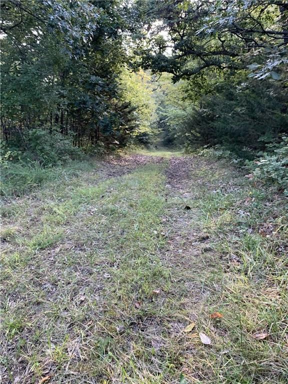 Tract 1 Private Drive 3394 Drive — photo 10