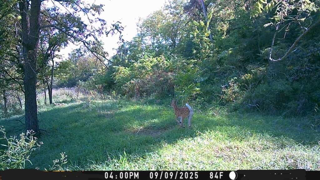 Tract 2 Private Drive 3394 Drive — photo 23