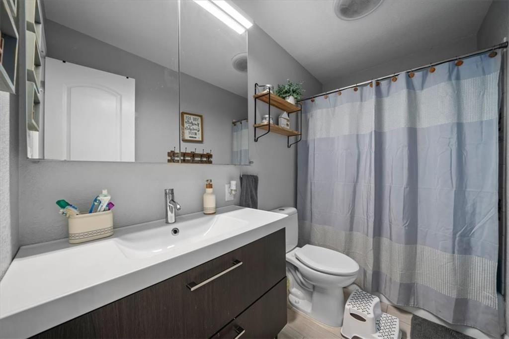 2409 Elephant Trail — photo 15