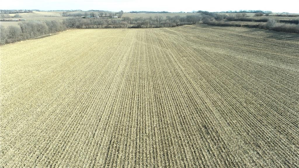 Atchison Holt Road — photo 3