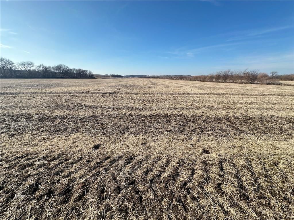 Atchison Holt Road — photo 21