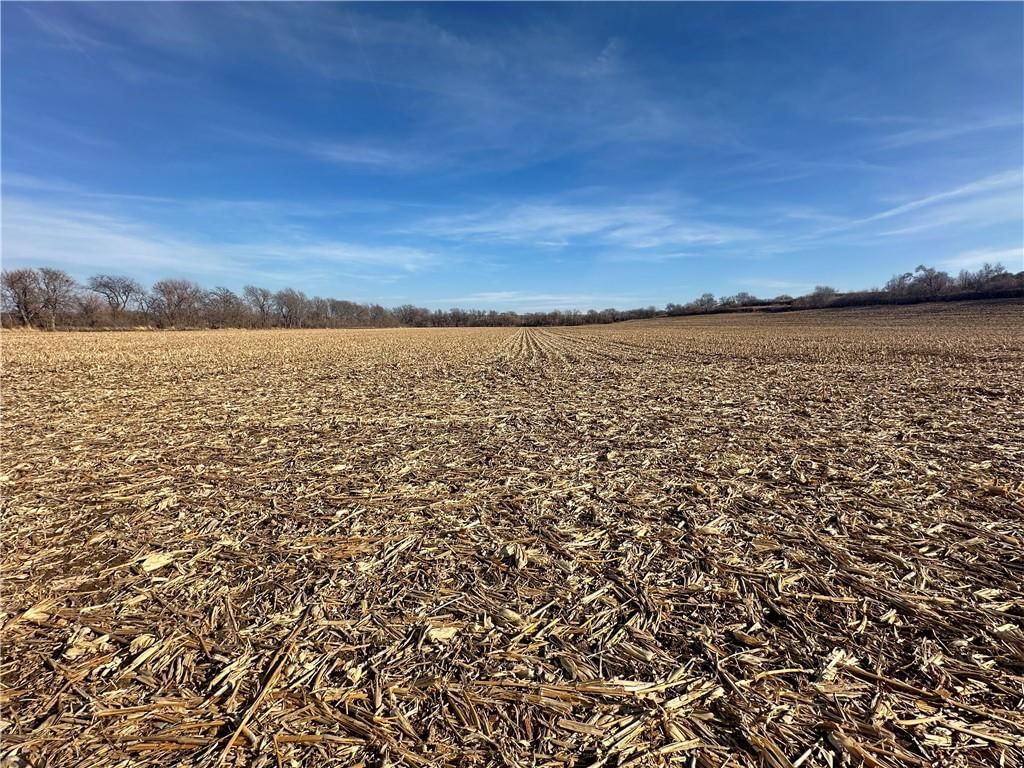 Atchison Holt Road — photo 22