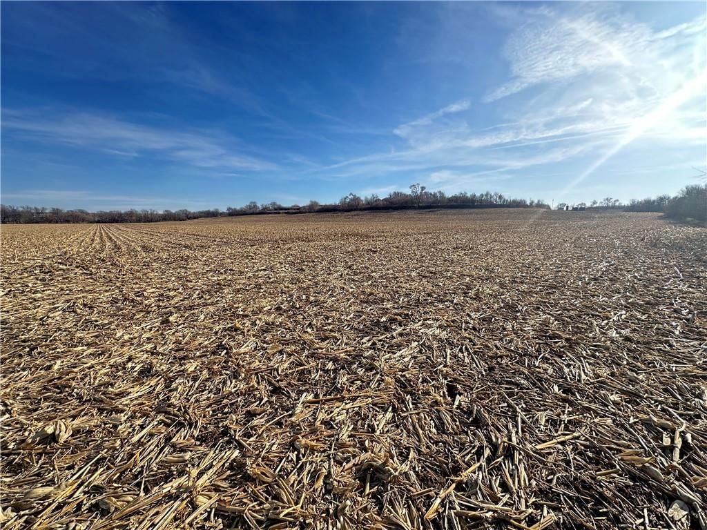 Atchison Holt Road — photo 23