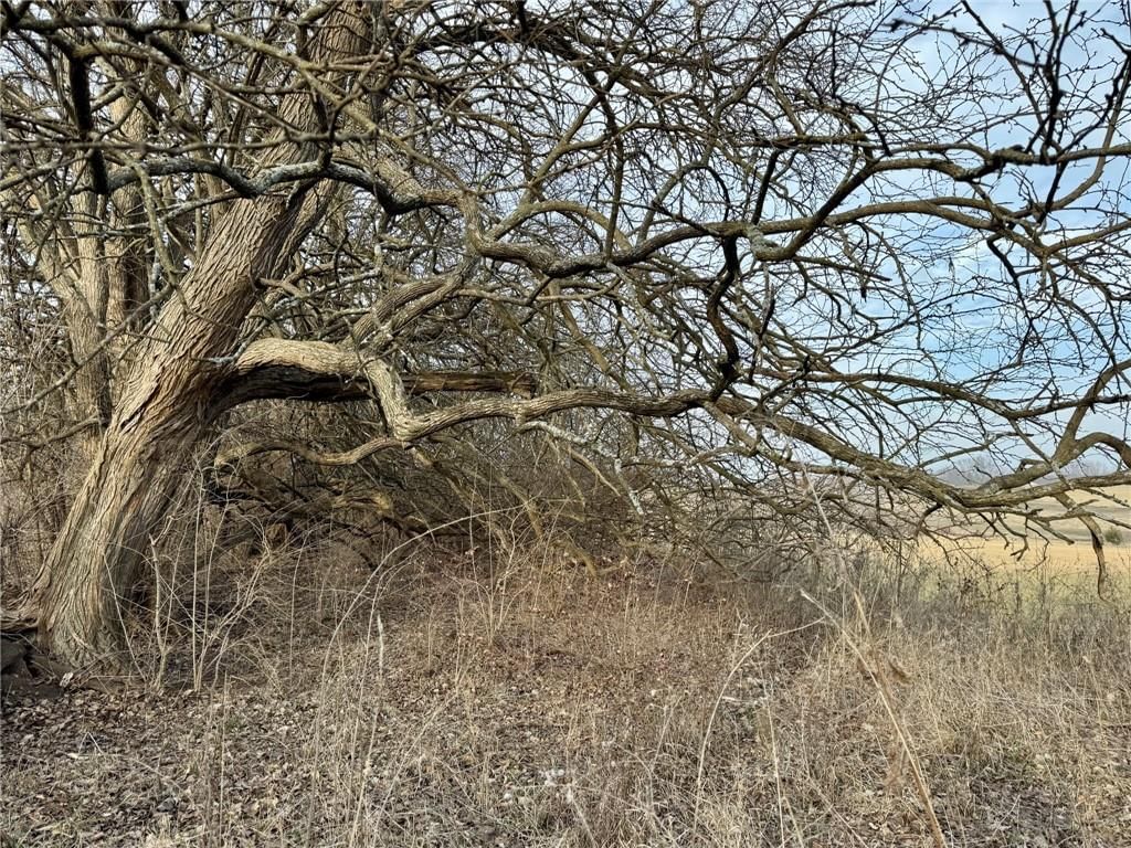 Lot 2 NW Plotsky Avenue — photo 10