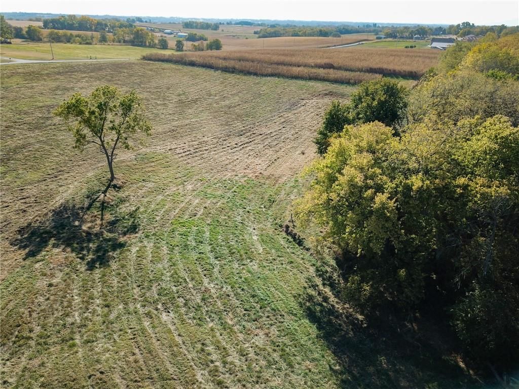 18240 County Road 292 Road — photo 4