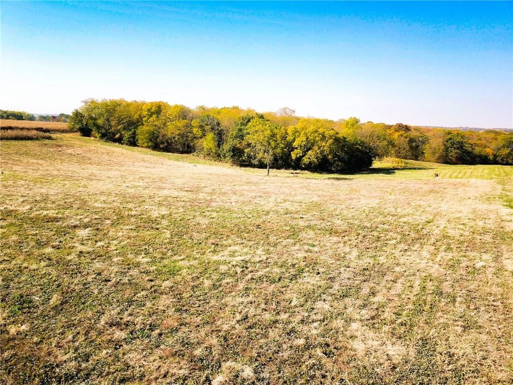 18240 County Road 292 Road — photo 6