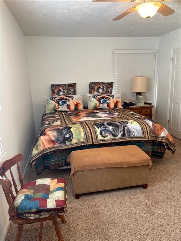 2700 Fairway Drive — photo 13