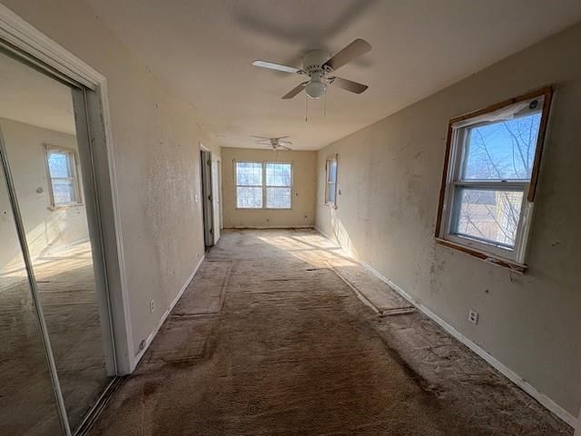 502 W Walnut Street — photo 5
