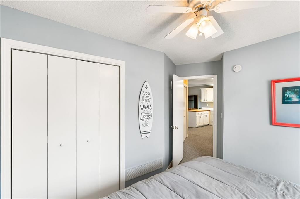 30204 Sassafras Drive — photo 23