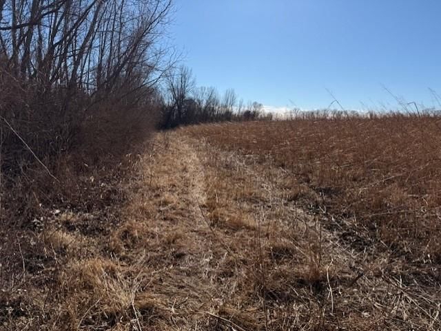 Tract A 195th Street — photo 7