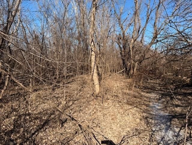 Tract A 195th Street — photo 8