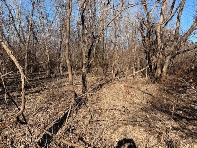 Tract A 195th Street — photo 9