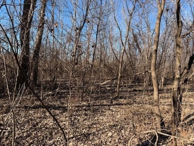 Tract A 195th Street — photo 10