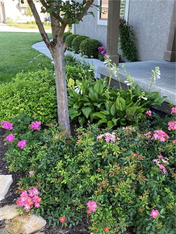 11493 S Waterford Drive — photo 53