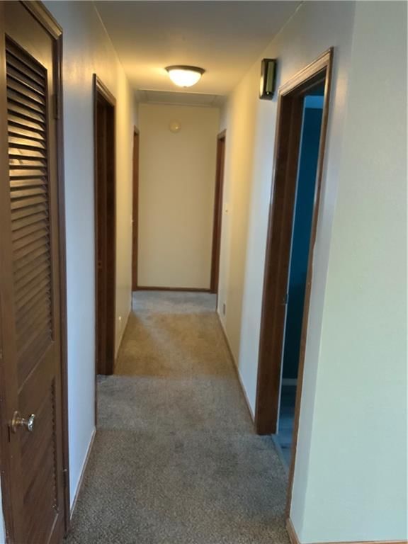 7 W Garfield Street — photo 14